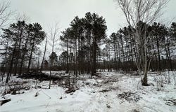 Tbd #1 Koecher Road, Kerrick, MN 55756