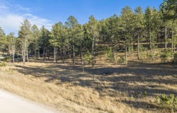 TBD Caledonia Trail, Custer, SD 57730