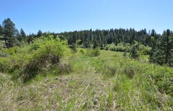 1489 Woodland Rd, Kamiah, ID 83536