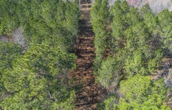 Golf Course Road lot: 6, Eastman, GA 31023