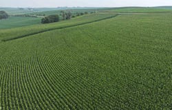Heron Ave & 270th St, Exira, IA 50076