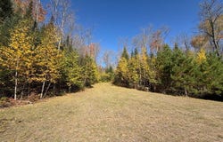 4301 W TIMBERLINE RD, Mercer, WI 54547