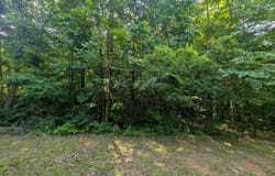 Cheyenne Drive Lot 12 & 13, Jamestown, TN 38556