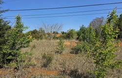 1.81 Ac. Andrew Johnson Hwy., Greeneville, TN 37745
