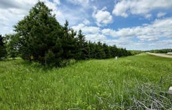 STATE HWY 55, WHITE LAKE, WI 54491