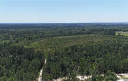 0 Deer Run Road, Other, GA 30474