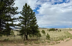 311 Harness Way, Hartsel, CO 80449
