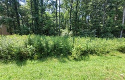 Lot 40 GROVE DR, MONTROSS, VA 22520