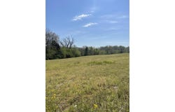 3540 Mark Welborn Road, Somerset, KY 42503