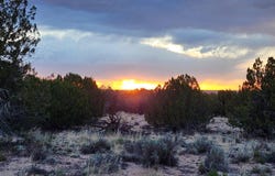 N Drive, St Johns, AZ 85936