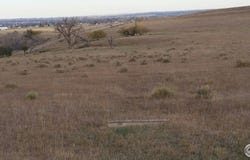 Berthoud, CO 80513