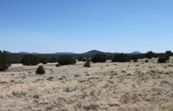36 County Road 8249, Concho, AZ 85924