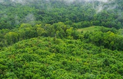 0 County Road 181, Ironton, OH 45638