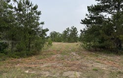 0 Baughmanville Road Road, Wagener, SC 29164