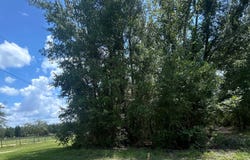 LT 20 169TH RD, Live Oak, FL 32060