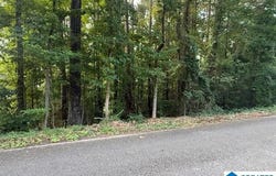 11585 BROWN CIRCLE lot: 71, WOODSTOCK, AL 35188