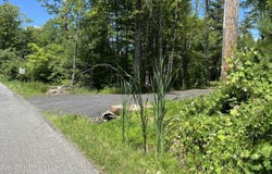 10 Rockaway Road, Accord, NY 12404