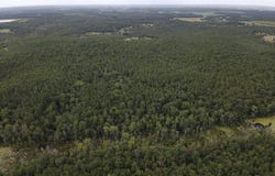 Johnston Highway, Trenton, SC 29847
