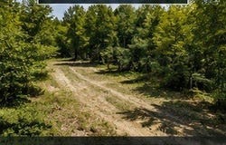 County Road 459, Clanton, AL 35045