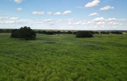2800 N CR 294, Early, TX 76802