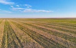 TBD County Road 31, Otis, CO 80743