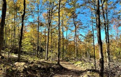 VL Bucktooth Run Road, Little Valley, NY 14755