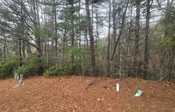 34 Vienna Ring, Helen, GA 30545