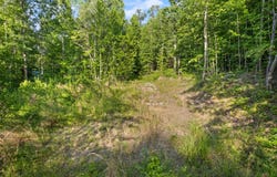 165 Chaneyville Road, Stanton, KY 40380