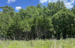 000 Gardner Hill Lane, Fordland, MO 65652
