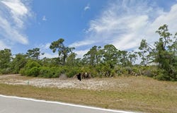 192 SWEETWATER DRIVE, ROTONDA WEST, FL 33947