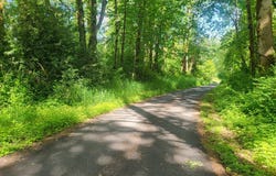Lot 16-17 Bonneville DR, Scappoose, OR 97056