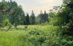 Xyz Plank Road, Sturgeon Lake, MN 55783