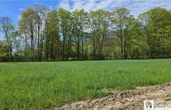9659 Dye Road, Villenova, NY 14062
