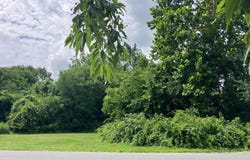 E THOMAS AVENUE, NORTH EAST, MD 21901