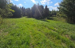 213 Great Brook-Potter Rd, New Berlin, NY 13411
