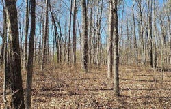 0 Bluff View Dr W, Dunlap, TN 37327