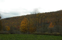 Gregory Hollow Road, Hamden, NY 13782