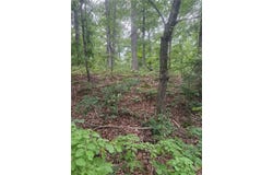 Gainford  DR, Bella Vista, AR 72714