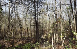 0 YORKETOWN ROAD, ALLOWAY, NJ 08001
