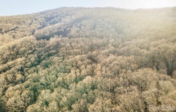Wildflower Cove Road, Swannanoa, NC 28778