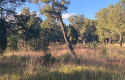 15 Wild Wings Circle, Pecos, NM 87552