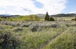 Wey's View lot: 4, McAllister, MT 59740