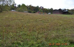 Dutch Hollow, Weston, WV 26452