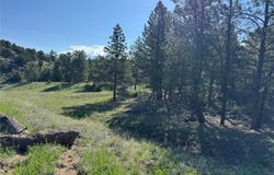 69 Coyote Run Road, Cotopaxi, CO 81223