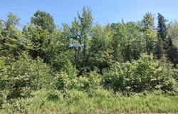 8930 Sand Lake, Au Train, MI 49806