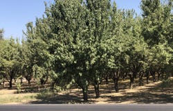 W Marinette Avenue, Exeter, CA 93221