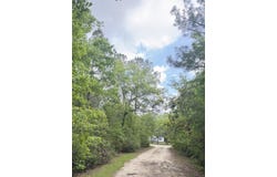 470 Weans Road, Walterboro, SC 29488