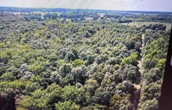 141 Duncan Ln, Poughkeepsie, AR 72569
