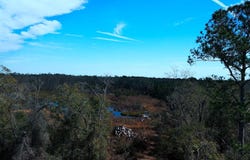 Big Joe Road, Monticello, FL 32344