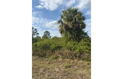 3114 63rd, LEHIGH ACRES, FL 33971